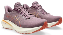 Asics GT-2000 13 W 1012b666-500