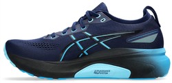 Asics Gel-Kayano 31 1011b867_401