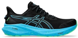 Asics GT-2000 13 Lite-Show 1011b953-001