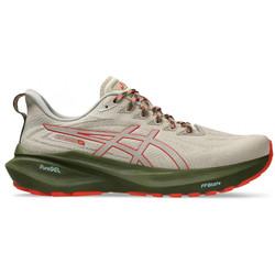 Asics GT-2000 13 TR 1011b954-300