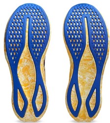 Asics Noosa Tri 16 1011b872-751