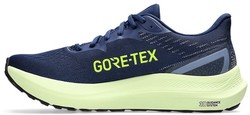 Asics GT-2000 12 GTX 1011b687-400