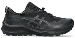 Asics Gel-Trabuco 12 GTX W 1012b607_002