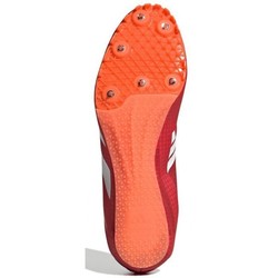 Pointes d'Athltisme Adidas Sprintstar gx6686