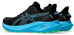 Asics GT-2000 13 Lite-Show 1011b953-001