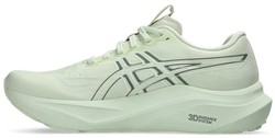 Asics GT-2000 14 W 1012b843-300