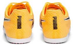Pointes Puma Evospeed Distance 11 377961-01