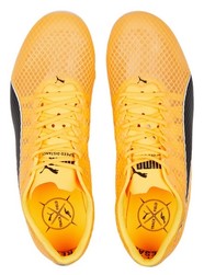 Pointes Puma Evospeed Distance 11 377961-01