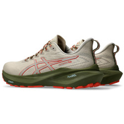 Asics GT-2000 13 TR 1011b954-300