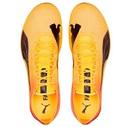 Puma Evospeed Distance Nitro Elite 2 377383-01