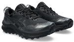 Asics Gel-Trabuco 12 GTX W 1012b607_002