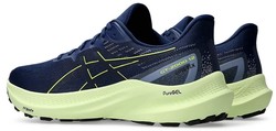 Asics GT-2000 12 GTX 1011b687-400