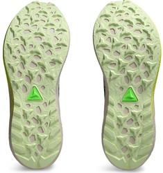 Asics Fuji Lite 5 W 1012b690-001