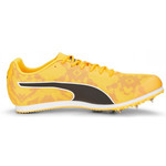 Puma Evospeed Star 8 377959-01