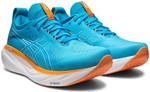 Asics Gel-Nimbus 25 1011b547_400