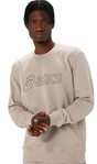 Asics Sweatshirt 2031e192_250