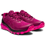 Asics Gel-Trabuco 10 W 1012b173_600
