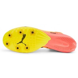 Puma Evospeed Distance Nitro Elite 2 377383-01