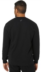 Asics Sweatshirt 2031e192_002