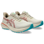 W Asics GT-2000 13 TR 1012b829-700