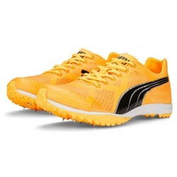 Puma Evospeed Haraka Sun 377007-01